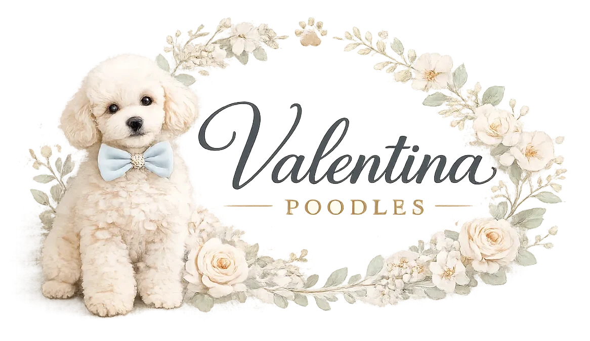 Valentina Poodles Logo